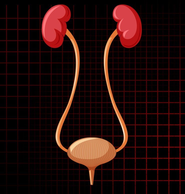 Ureteric Stone Management In Special Populations