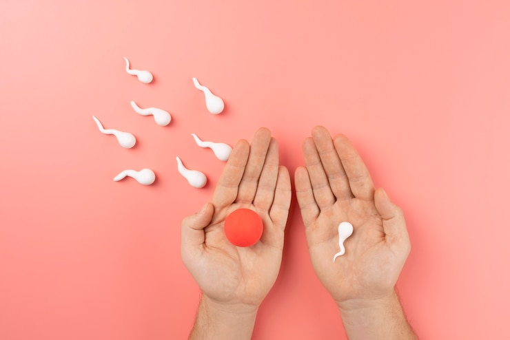 Best Infertility Treatment in Rohini