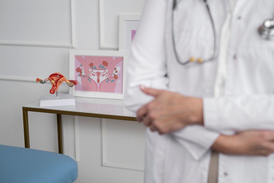 Gynecologist standing in a consultation room with a female reproductive system model and anatomy chart for patient education.